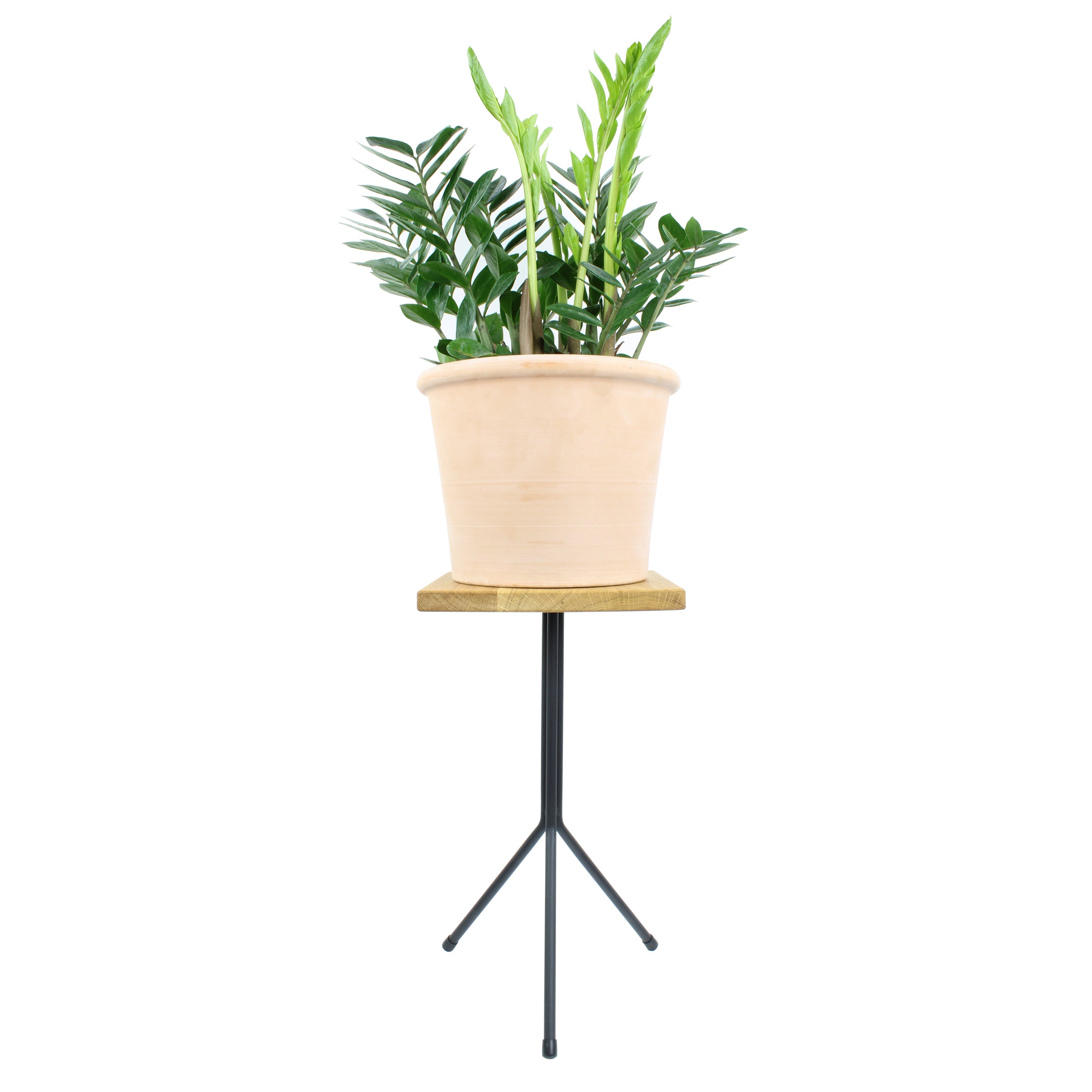 natural-goods-berlin-tischgestell-tripod-12-mm image 2