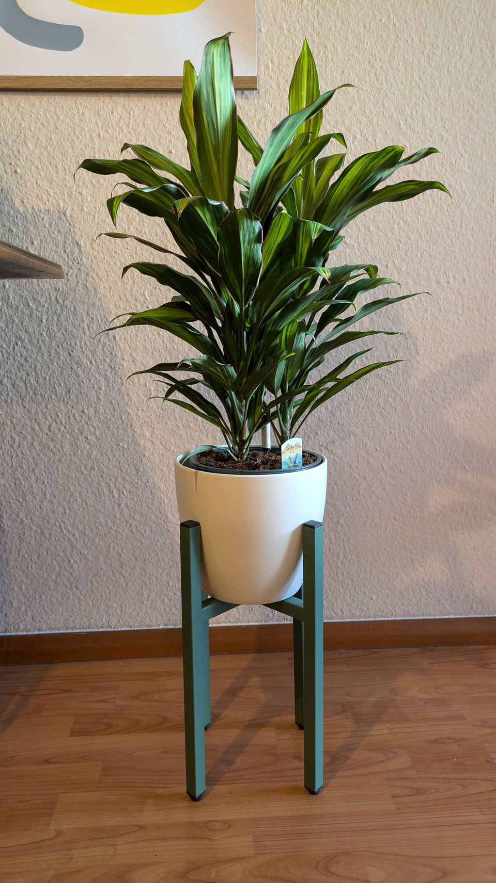 Schick und stabil